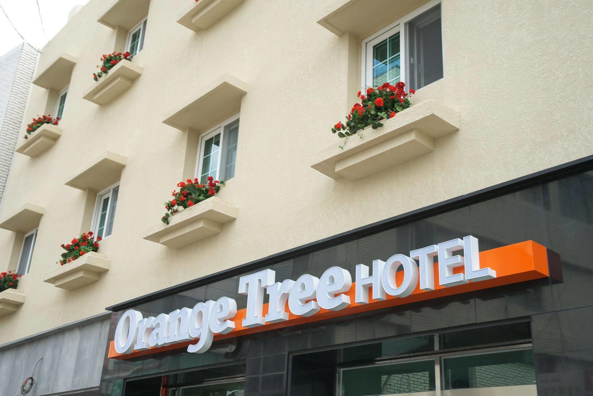 Orange Tree Hotel Jeju Exterior photo